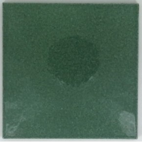 20x20 Trasparenze Marine 1542 Verde Scuro.