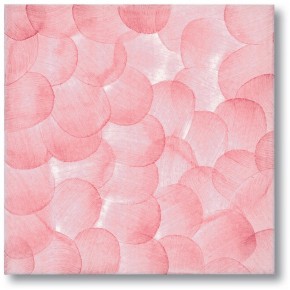 20x20 Marine Transparencies 1718NU Nuvolato Rosellina