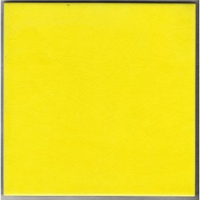 20x20 Le Porcellane Limone T. 2 Pasta Rossa